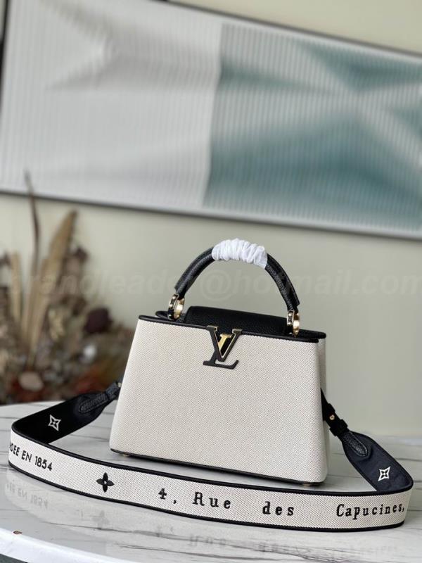 LV Handbags 690